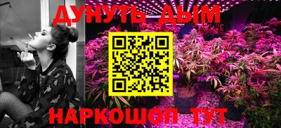 каннабис Новозыбков